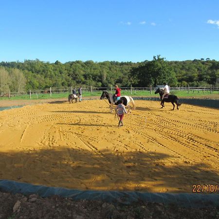 Capdrot Gite Equestre Domaine Des Crins - Biron المظهر الخارجي الصورة