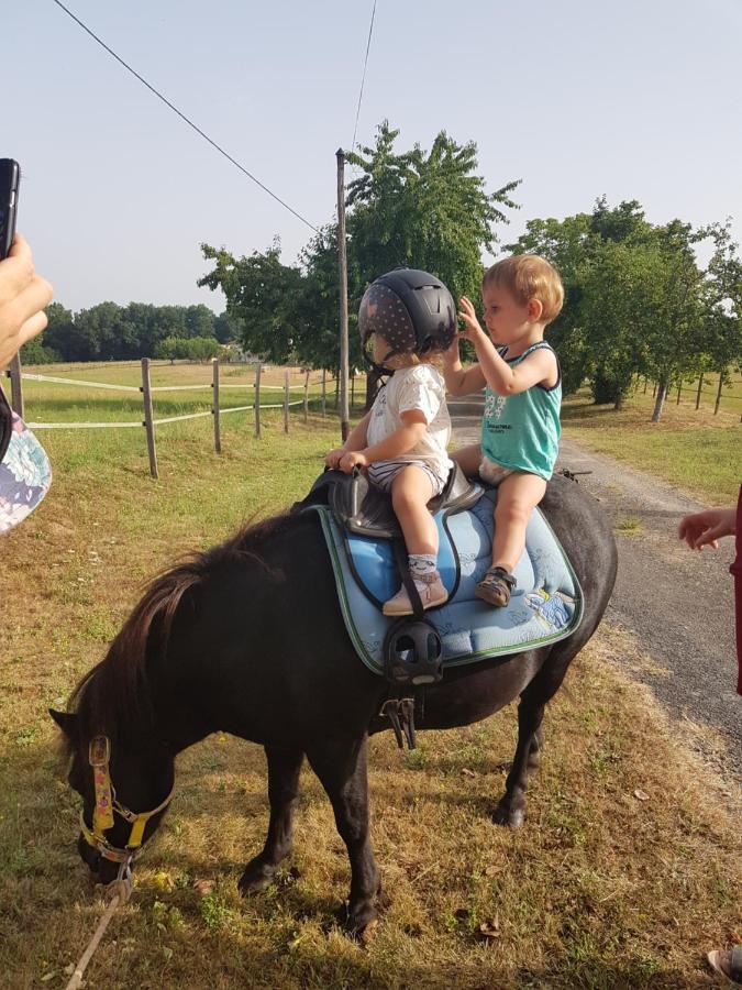 Capdrot Gite Equestre Domaine Des Crins - Biron المظهر الخارجي الصورة