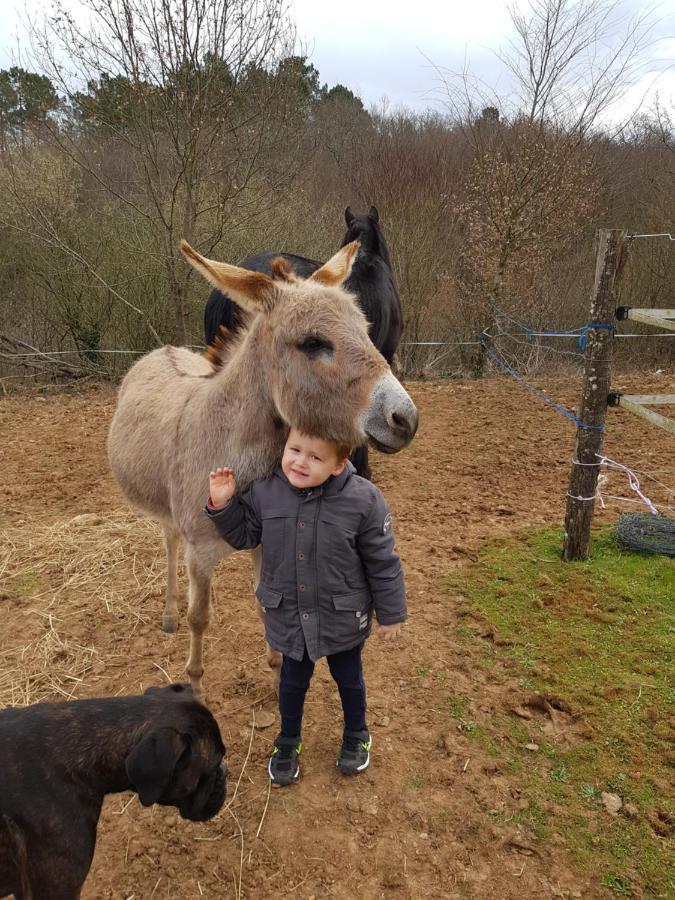 Capdrot Gite Equestre Domaine Des Crins - Biron المظهر الخارجي الصورة