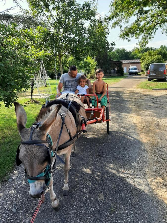 Capdrot Gite Equestre Domaine Des Crins - Biron المظهر الخارجي الصورة