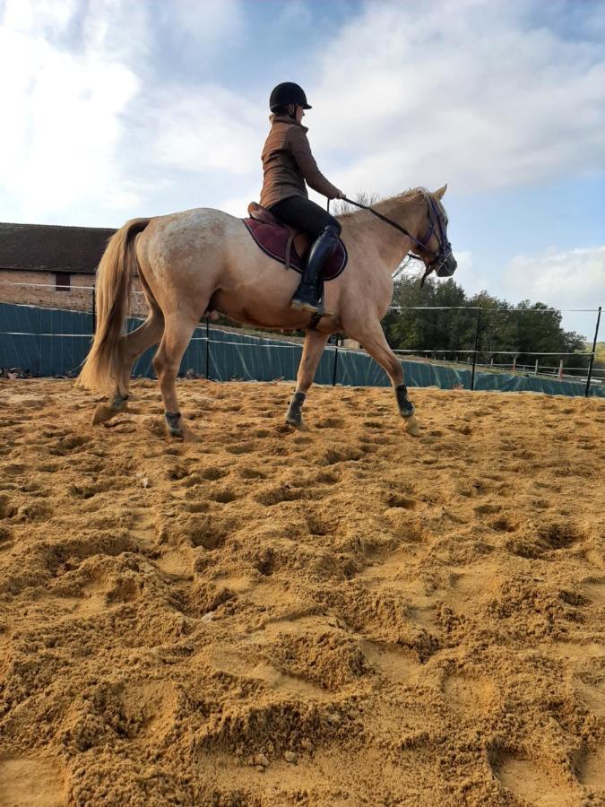 Capdrot Gite Equestre Domaine Des Crins - Biron المظهر الخارجي الصورة