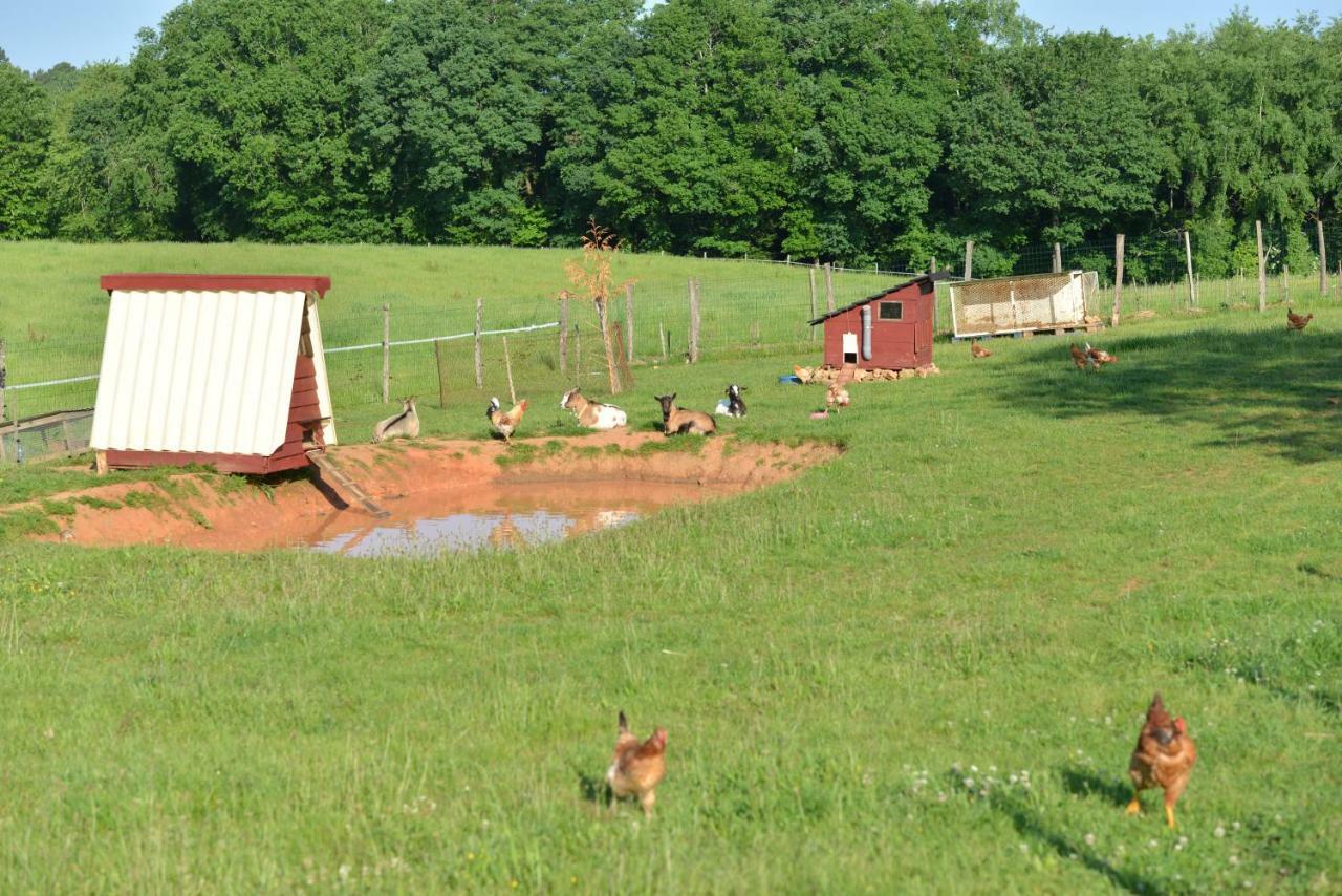 Capdrot Gite Equestre Domaine Des Crins - Biron المظهر الخارجي الصورة